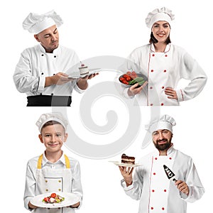 Group of chefs on white background photo