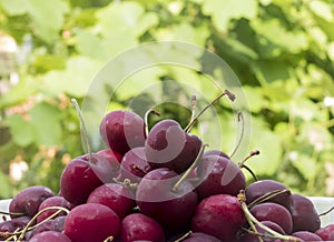 Group of Cherries on a natural green background.