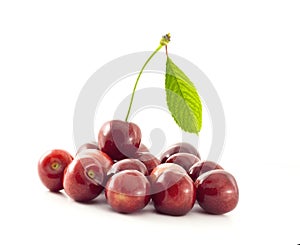 Group of cherries