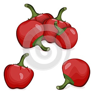 Group of Cherry Pepper. Cartoon style. Vector.