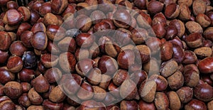 A group of chestnuts. pattern