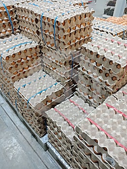 Group of Chicken Eggs in paper tray for sale