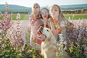 Group of children with a dog in nature. Girls play in the open air.