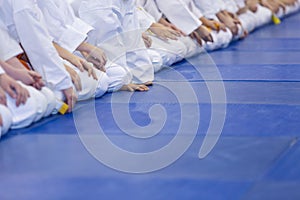 Group of children in kimono sitting on tatami