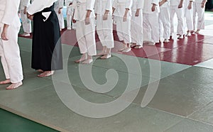 Group of children in kimono standing on tatami on martial arts training