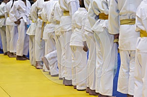Group of children in kimono standing on tatami on martial arts training seminar