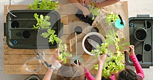 Group of children planting trees on a wooden table in soil trays in a green house or indoor garden on a Spring day