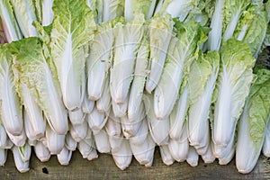 Group of Chinese Cabbage in a market at china.