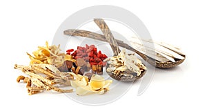 Group of chinese medicine herbs