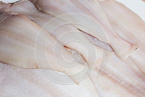 A group of clean and raw fresh flatfish megrim.