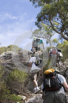 Group climbing mt maroon 2