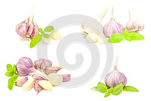 Group of Clove garlic on a white background. Clipping path