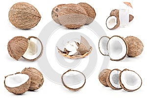 Group of coconut on a isolated white background