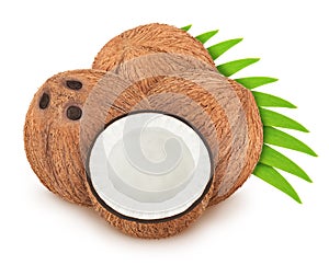 Group of coconuts with leaves isolated on white background.