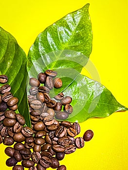 Group of coffeebean and leaves