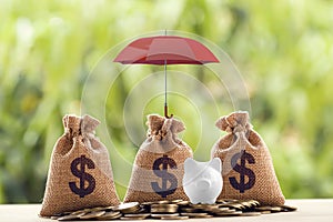 Group coins and US dollar bag, piggy bank Under the red umbrella. Concept risk protecting, wealth management and long term money