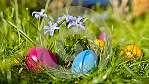 Group of colored eggs for Easter time