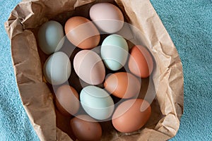 Group of Colorful Farm Fresh Eggs in a Brown Paper Bag