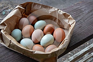 Group of Colorful Farm Fresh Eggs in a Brown Paper Bag