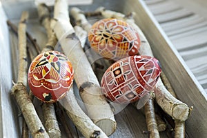Group of colorful painted Easter eggs on birch branches
