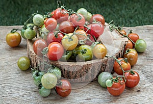 Group of Colorful variety of Fresh wild tomatoes Mini Cherry Tomatos on old wooden board background