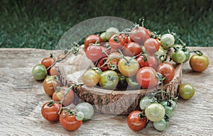 Group of Colorful variety of Fresh wild tomatoes Mini Cherry Tomatos on old wooden board background