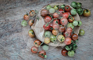 Group of Colorful variety of Fresh wild tomatoes Mini Cherry Tomatos on old wooden board background