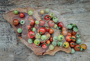 Group of Colorful variety of Fresh wild tomatoes Mini Cherry Tomatos on old wooden board background