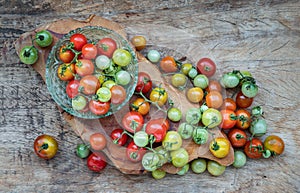 Group of Colorful variety of Fresh wild tomatoes Mini Cherry Tomatos on old wooden board background