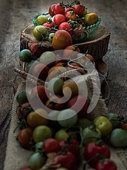 Group of Colorful variety of Fresh wild tomatoes Mini Cherry Tomatos on old wooden board background