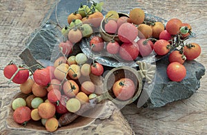 Group of Colorful variety of Fresh wild tomatoes Mini Cherry Tomatos on old wooden board background