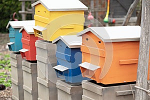 A group of colorful wooden birdhouses in the garden.