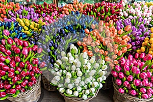 Group of colorful wooden tulips