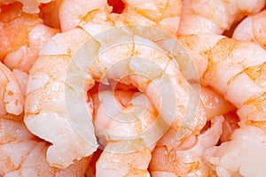 Group of cooked prepared shrimp