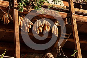 Corn cobs hanging from the roof - Canale di Tenno Trentino Italy