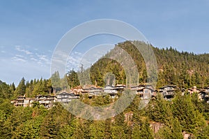Group of country houses and cottages on the mountainside among the dense forest
