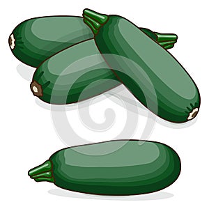 Group of Cousa or Kousa squash. Clipart