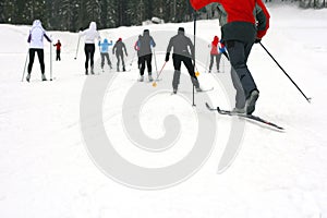 A group cross country skiing