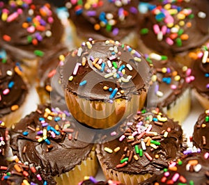 Group of cupcakes