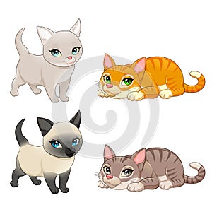 Group of cute cats with different colors