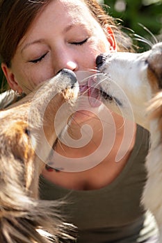 A group of cute funny dogs are licking the face of a beautiful young woman