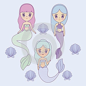 Group of cute mermaids with seashell