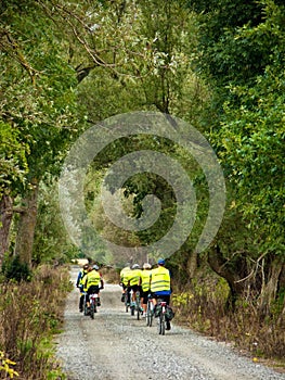 Group of cyclists on road