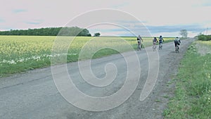 A group of cyclists travels along the road past a yellow field. Tourists leave on bicycles on the road.