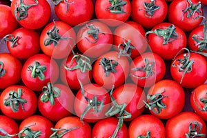 Group of delicious red tomatoes, summer tray market farm full of organic vegetables, top view pattern, selective focus,