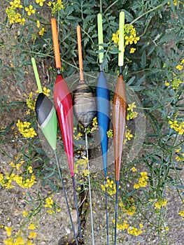 A group of different models of fishing floats intended for the Bolognese technique on lakes and rivers. photo