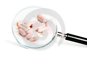 Group of different pills on magnifying glass