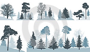 Group of different trees spruce, pine, oak, maple, etc. in forest or in park, isolated on white background. Vector illustration