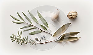 a group of different types of leaves and nuts on a white surface with a white background and a white background with a white