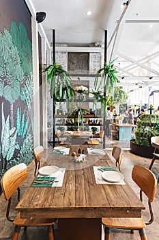 Group dining table set decorated with table, wooden chairs, green plant and white scratch texture wallpaper.